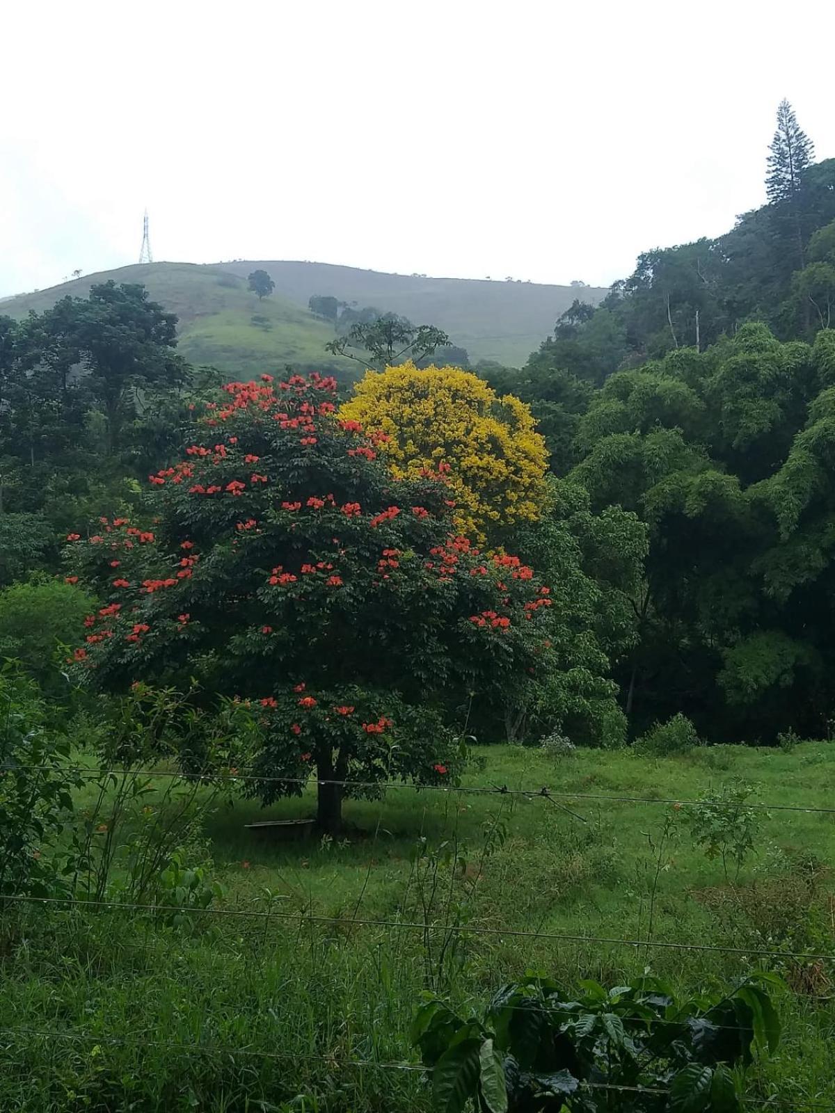 Petrópolis Fazenda Piloes 빌라 외부 사진